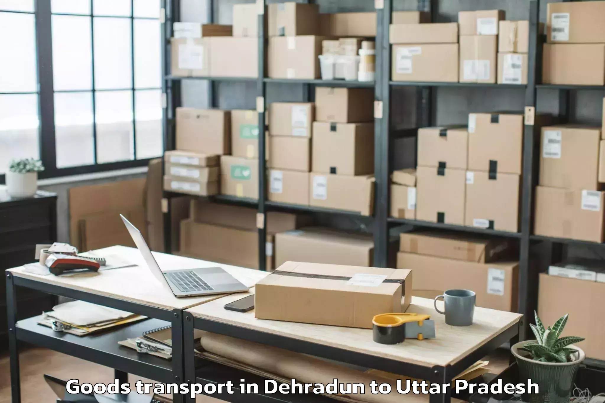 Expert Dehradun to Babrala Goods Transport